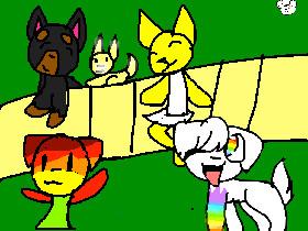 dog vill rainbow