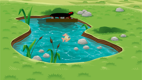 Week 6: Lake Simulator