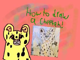 How to draw a cheetah!