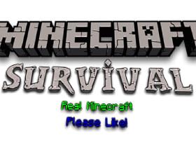 Minecraft: Survival