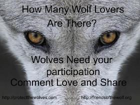 SAVE WOLVES!