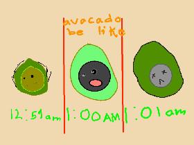 the life of a avacado