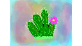 Create a Cactus