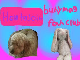 bunnymag fan club!