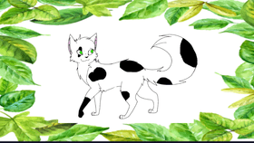 Create a warrior cat!