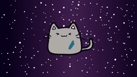 Kitty cat in space