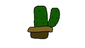 Week 4: Create a Cactus