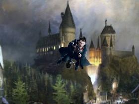 Harry Potter quiz 1 1