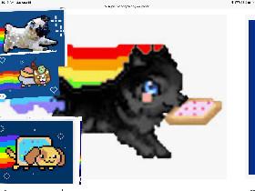 nyan dog 