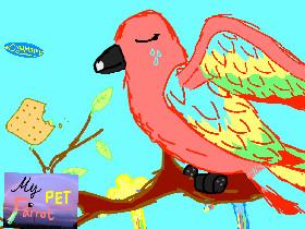 My Parrot  1