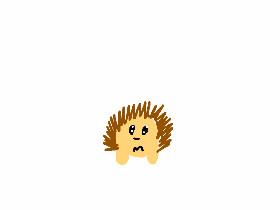 hedgie animation