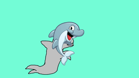 Dolphin Slideshow