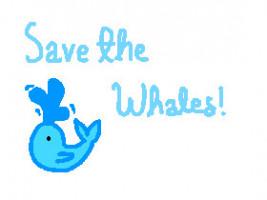 🐳 Save the Whales! 🐳