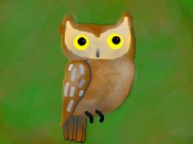 Owl speed Draw  1