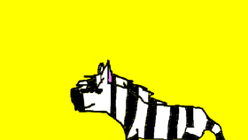 Zebra slideshow