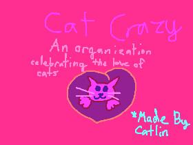 IM CAT CRAZY!!!!!!