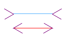 Mueller-Lyer-Taeuschung