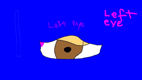 left eye