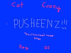 Cat Crazy Day 2: PUSHEENZ!!!