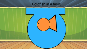 The Goldfish Bowl