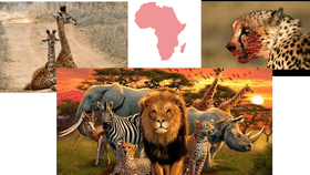 africa land