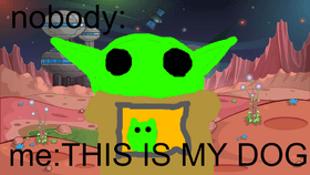 BABY YODA MEME