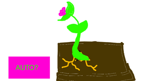 da plant