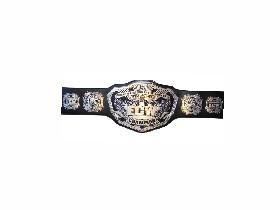 WWE Championship