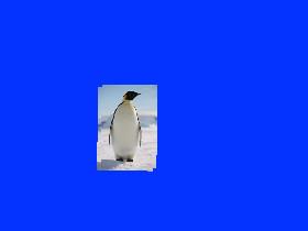 FREE PENGUIN DRAW 1