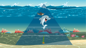 Ocean Ecological Pyramid