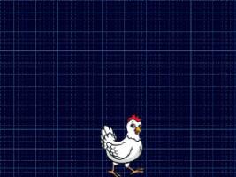 dancing chicken