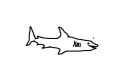 Shark