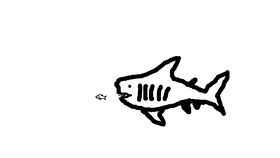 Shark