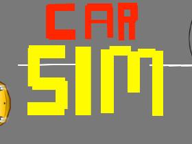 Car Sim RELEASED 1 1