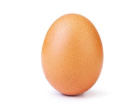 Egg 1