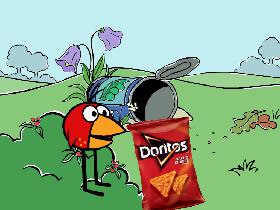 chirp enjoys doritos