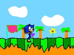 Sonic Animation!