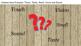 The Five Senses - TEMPLATE