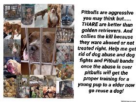 save the pitbulls!🦮