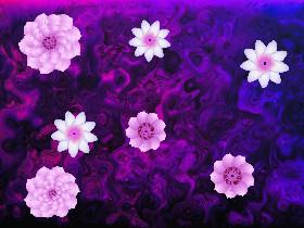 Purple Lightning Flowers