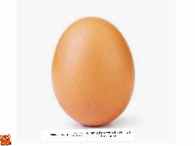 insta egg