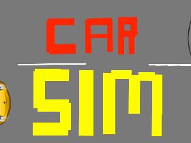 Car Sim RELEASED 1 2