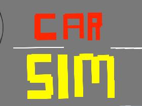 Car Sim RELEASED 1 1