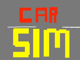 Car Sim RELEASED 1 1