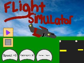 Flight Simulator