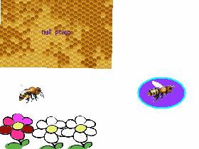 bee test