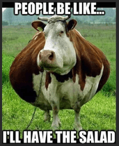 Cow Joke