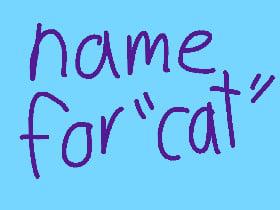 Name for the cat Plz read