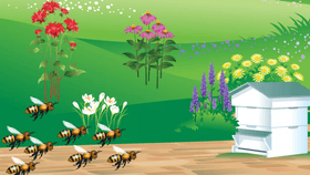 Bee Game