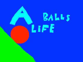 a balls life